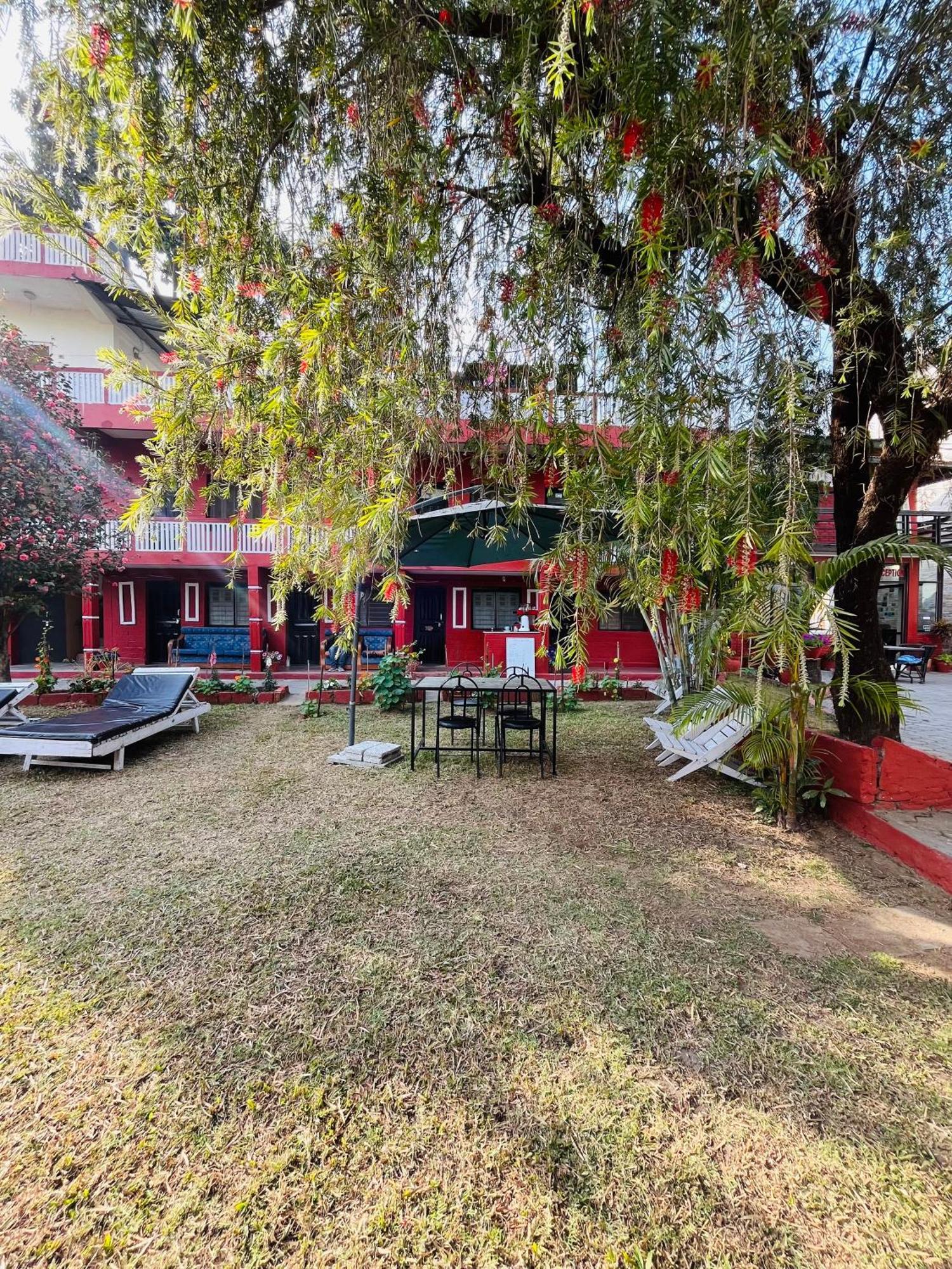 Butterfly Lodge Pokhara Dış mekan fotoğraf