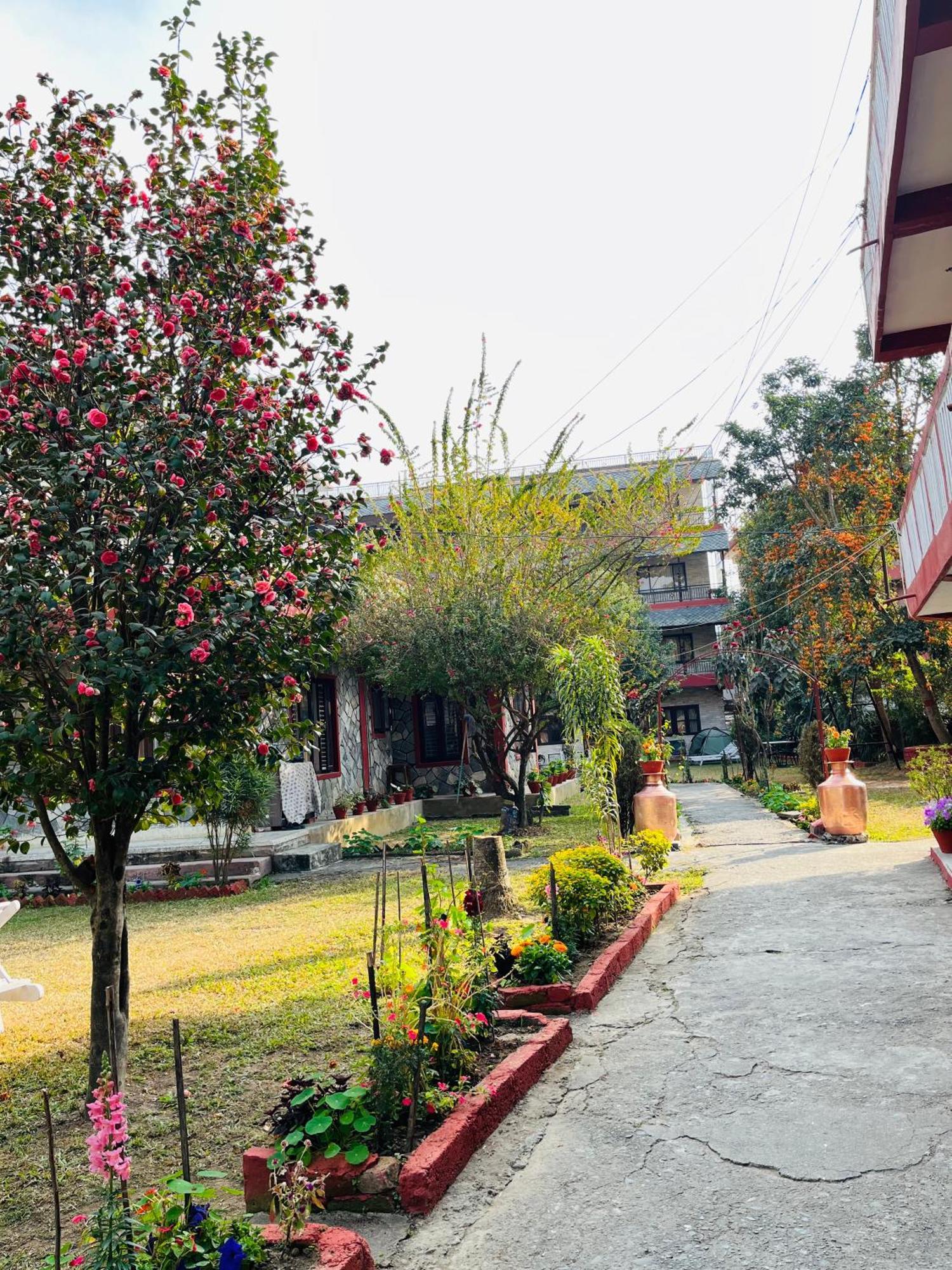 Butterfly Lodge Pokhara Dış mekan fotoğraf